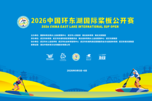 文章附图